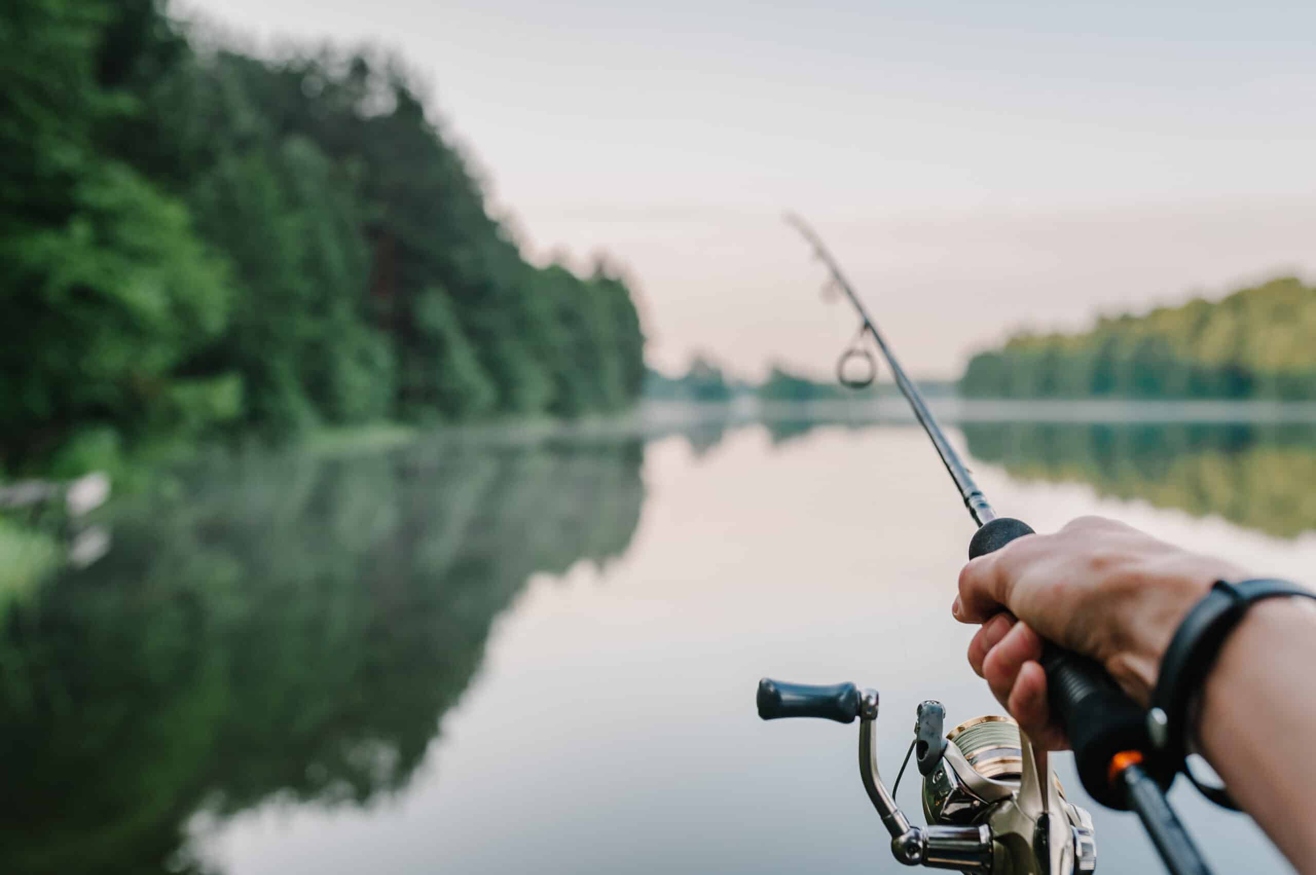 Fishing at sunrise beside a calm lake, surrounded by nature. Catching pike and carp.
