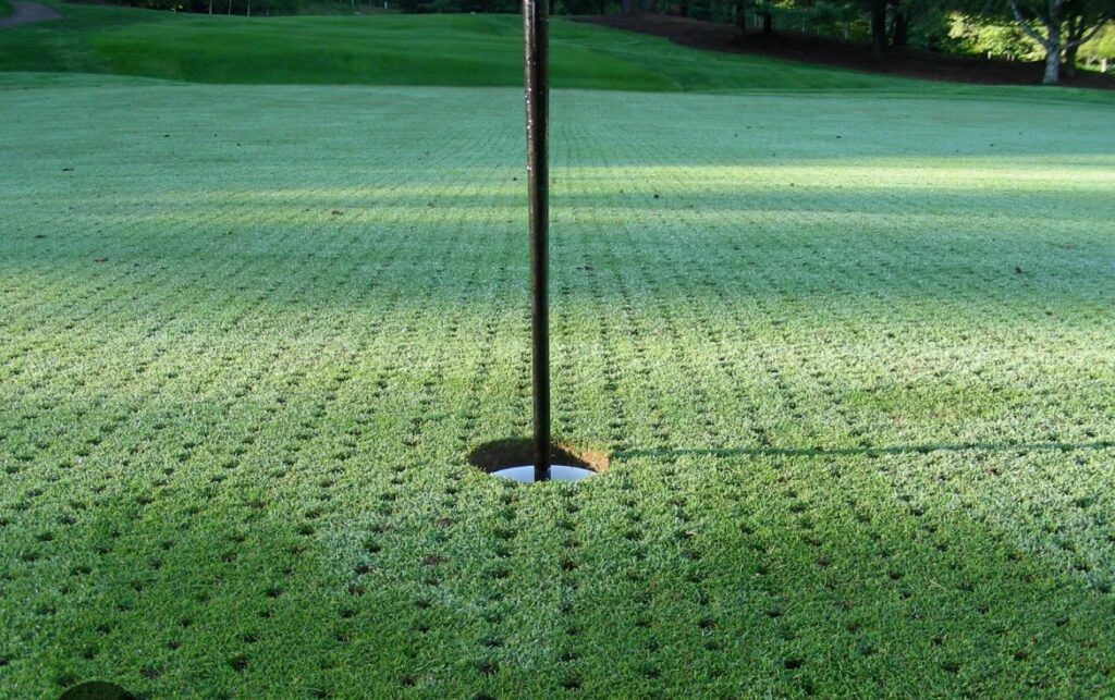 Lush green golf course grass with a flagpole near the hole.