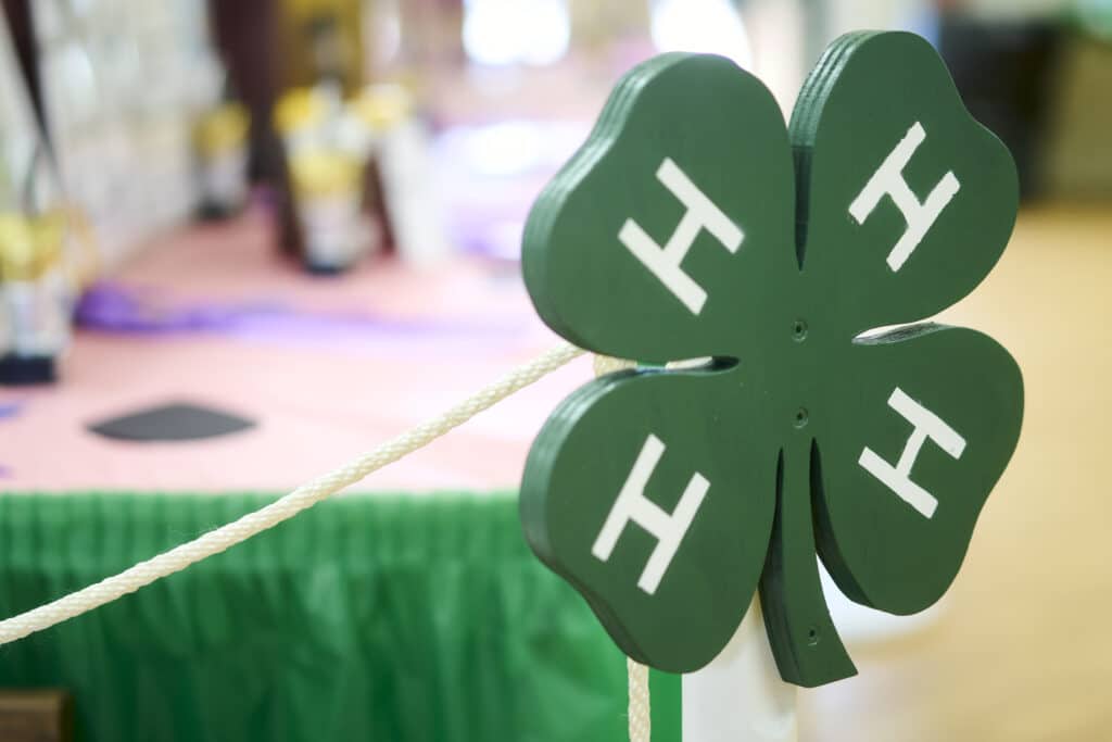 Four-leaf clover sign symbolizing luck and the 4-H youth organization event.