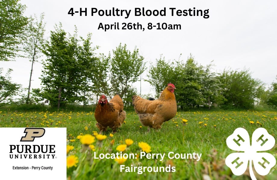 4-H Poultry Blood Testing event on April 26th at Perry County Fairgrounds.