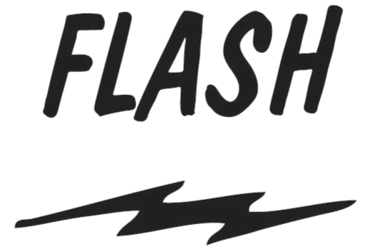 Bold Flash logo with dynamic lightning graphics for branding and visual impact.