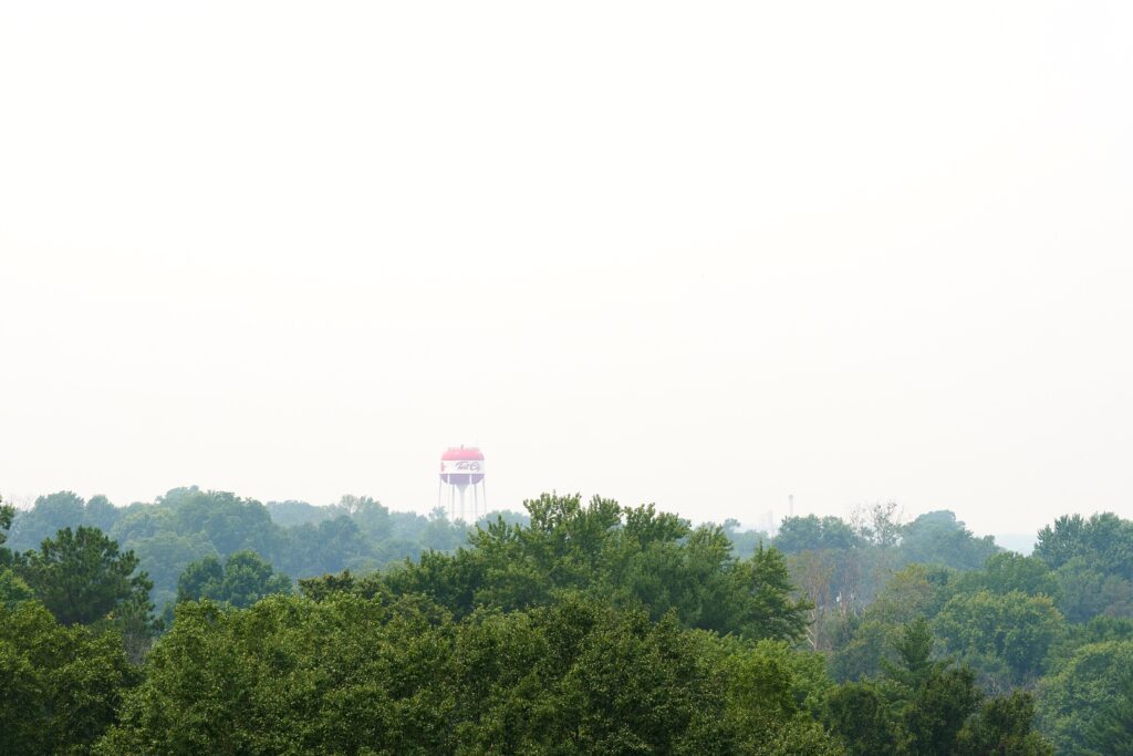 Water tower rises above lush green trees in a serene landscape.